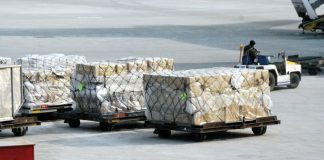 IATA: Air Cargo Bottlenecks Could Put Lives at Risk- Urgent Government Action Required