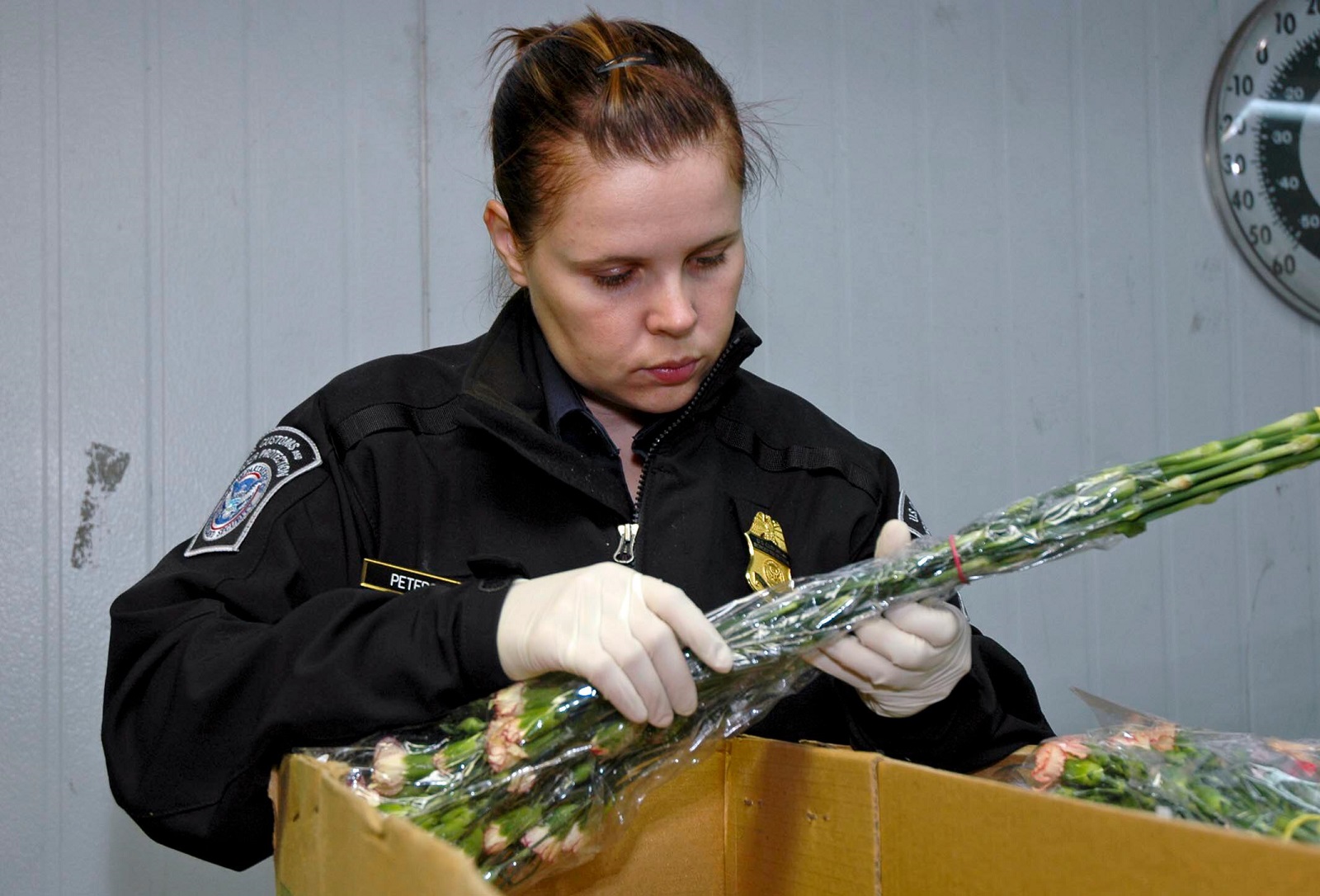 CBP in San Juan Seizes $1.8 million worth of Cocaine inside Flower ...