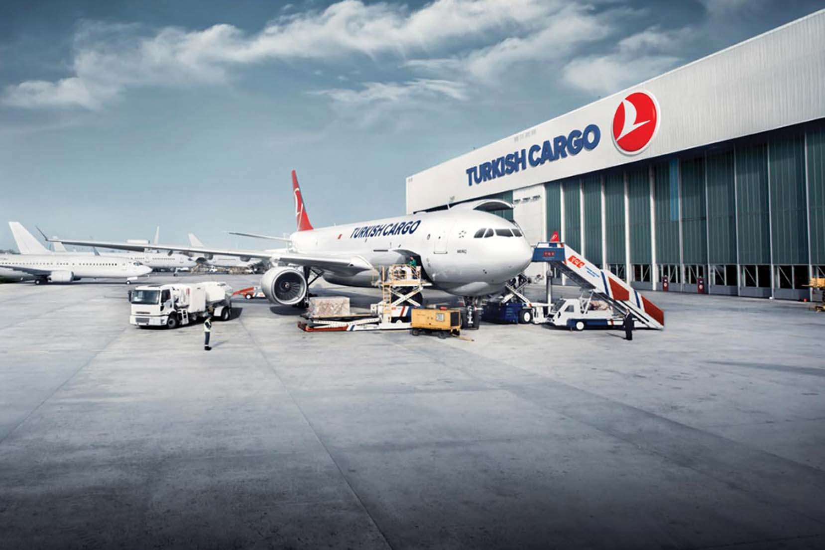 Туркиш эйрлайнс в канкун рейс. Турция авиалинии. Thy will be. Thy will be. Турция авиакомпания туркиш.