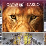 QR Cargo-Lions