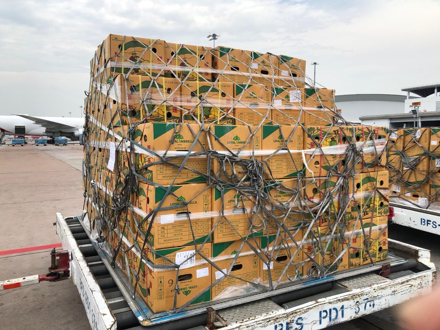 KerryApex Thailand หนุนผู้ส่งออกทุเรียน ด้วยเที่ยวบินขนส่งสินค้าเช่า