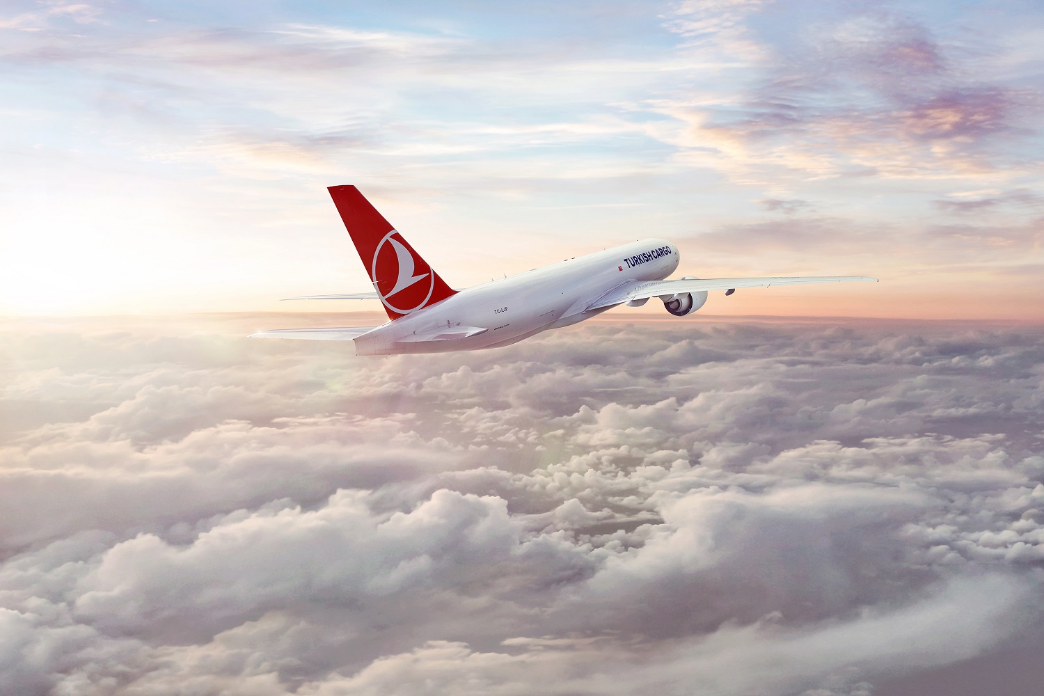 Strategic Cooperation Between Turkish Cargo and YTO Cargo Airlines