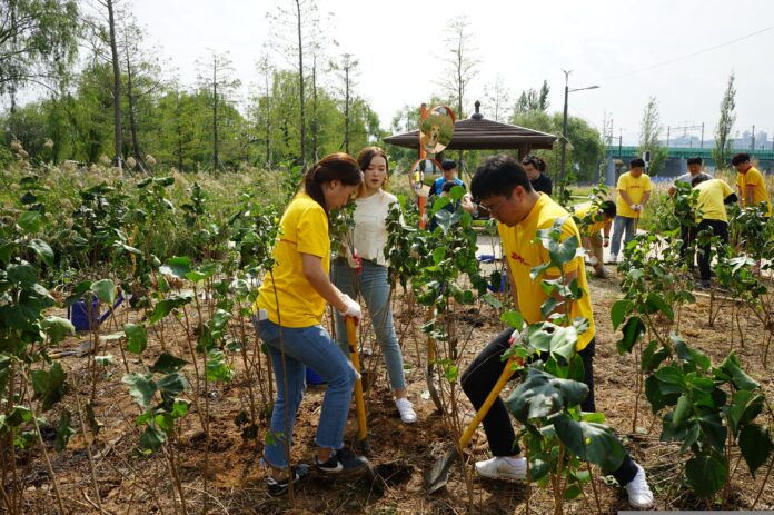 DHL Group Global Volunteer Day