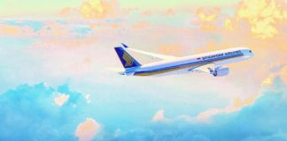 Worldwide Flight Services Singapore Airlines