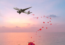 Qatar Airways Cargo Roses Valentine Day