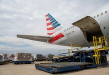 American Airlines Cargo 900 Tons Premium Brazilian Ginger