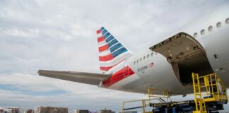 American Airlines Cargo 900 Tons Premium Brazilian Ginger