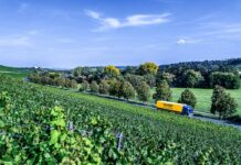 Dachser Wine and Spirits Logistics Service Asia Pacific