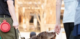 Global K9 KLM Provide Canine Cargo Screening Amsterdam Schiphol