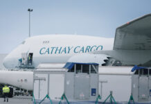 Cathay Cargo Elite Showjumping Horses Hong Kong International Event