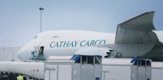 Cathay Cargo Elite Showjumping Horses Hong Kong International Event