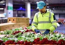 dnata 227000 Kilograms Valentine’s Day Flowers