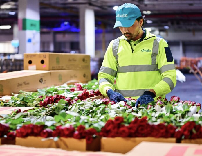 dnata 227000 Kilograms Valentine’s Day Flowers