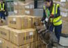 DHL Global Forwarding Japan Introduces Explosives Detection Dog Screening Service DHL Global Forwarding Japan Explosives Detection Dog Screening Service