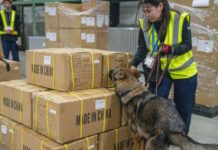 DHL Global Forwarding Japan Explosives Detection Dog Screening Service