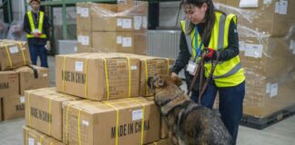 DHL Global Forwarding Japan Introduces Explosives Detection Dog Screening Service DHL Global Forwarding Japan Explosives Detection Dog Screening Service