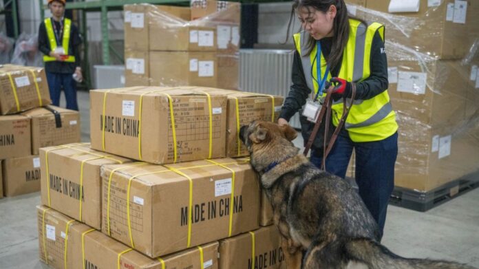 jp-core-pr-06112026-1 DHL Global Forwarding Japan Explosives Detection Dog Screening Service