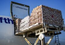 Lufthansa Cargo Import Customs Frankfurt Airport FAIR@Link